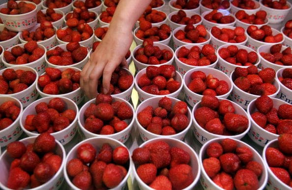 La decisión del festival se da luego de que
<a href="https://www.univision.com/local/san-antonio-kwex/implicaciones-orden-del-gobernador-de-texas-sobre-reabrir-el-estado-y-eliminar-el-uso-de-mascarillas-fotos" target="_blank">el gobernador de Texas, Greg Abbott, emitiera una orden ejecutiva (GA-34) que levanta el mandato del cubrebocas en el estado</a>.