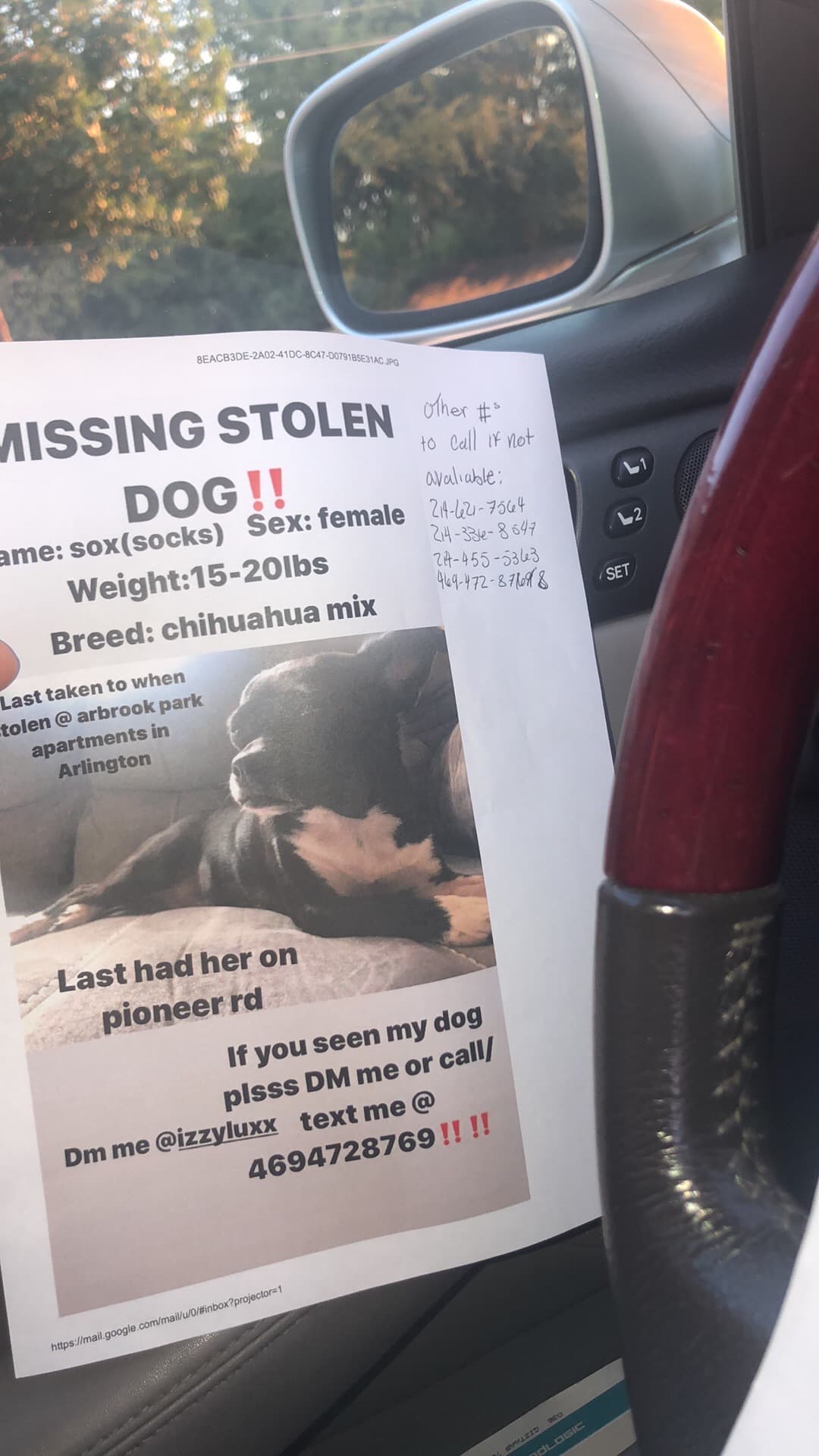 La perrita “Socks” de seis años fue robada junta a la camioneta de la familia el pasado lunes. Elisa Bonilla habló con Noticias 23 para hacer un llamado a la comunidad y dar con el paradero de su mascota.
<br>