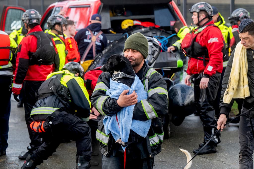 Un hombre, que se negó a dar su nombre, lleva un perro después de ser rescatado de un campamento para personas sin hogar rodeado por las inundaciones del río Guadalupe el domingo 4 de febrero de 2024 en San José, California (Foto AP/Noah Berger).