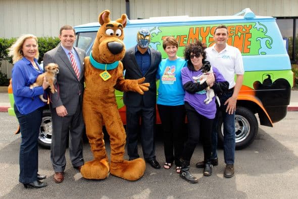 Así como la North Shore Animal League America, que se encarga de rescatar y buscar un hogar para estas mascotas abandonadas.