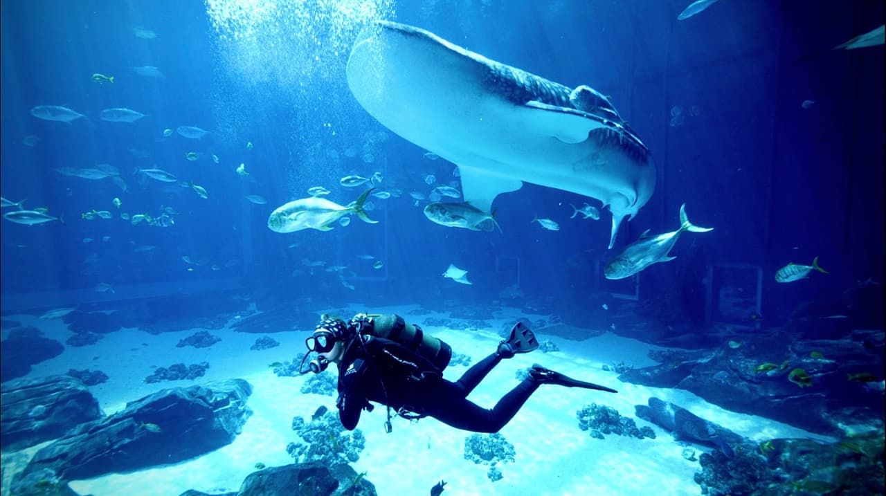 <b>LA OPCIÓN QUE NUNCA FALLA, EL GEORGIA AQUARIUM:</b> Un favorito durante todo el año, el Acuario de Georgia es un gran lugar para pasar un día inclemente y un lugar fantástico para llevar a los visitantes en caso que la caminata o el camping no sean una opción por mal tiempo. El acuario más grande del país alberga 10 millones de galones de hábitats de agua dulce y salada, además de exhibiciones interactivas, encuentros con animales, recorridos, el 4D Funbelievable Theater y mucho más.