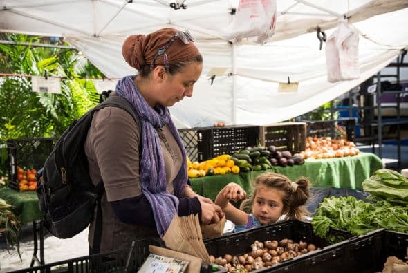 No obstante, los expertos aconsejaron que los lugares de trabajo, las escuelas, las guarderías y las instalaciones comunitarias favorezcan el acceso a estos alimentos con precios competitivos y la promoción adecuada.