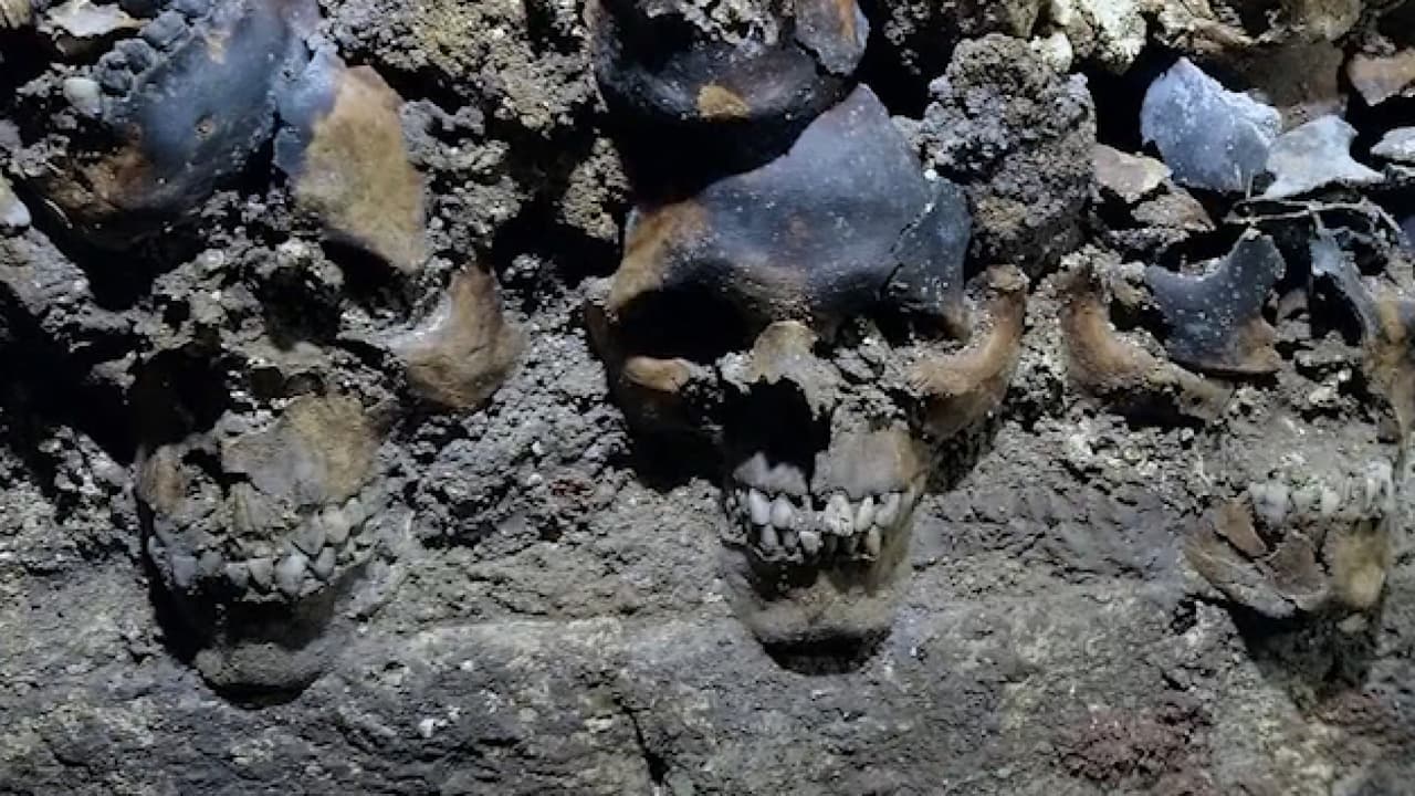 <b>En video: Una columna de cráneos hallada en plena capital mexicana revela los secretos de una civilización</b>
<br>
<br>Uno de los hallazgos arqueológicos más importantes de los últimos tiempos en la ciudad de México empieza a revelar los cultos religiosos de los Aztecas, como el culto al sacrificio humano, así como los sistemas económico, político y social de la civilización que luchó contra la conquista española hace 500 años.