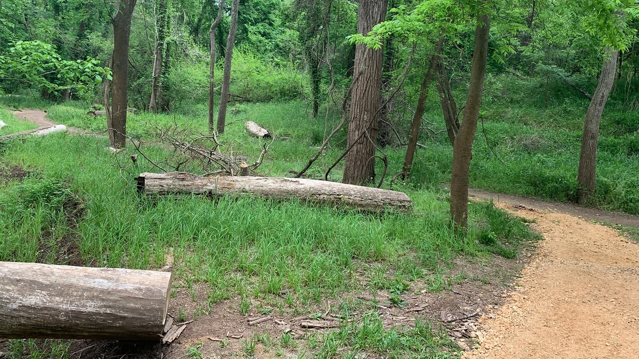 Tiene un espacio especial para acampar en el que los visitantes encontran baños y regaderas también.