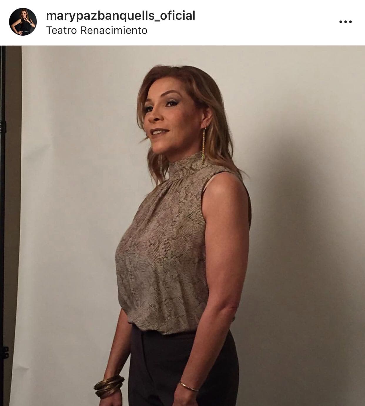 Fue muy clara al detallar el abuso que, asegura, recibió por parte de el actor "
<b><a href="https://www.univision.com/famosos/esta-es-la-razon-por-la-que-mary-paz-banquells-lloraba-en-el-bano-cuando-estaba-casada-con-alfredo-adame-fotos" target="_blank">nunca (fue) ni física ni sexualmente</a></b>, en este caso fui víctima de abuso psicológico tremendo y yo lo permití".
<br>