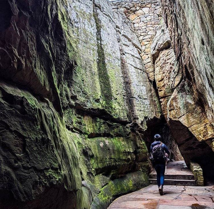 Los boletos de entrada programados reservados deben comprarse en línea con anticipación. Se recomiendan máscaras, pero no se requieren en el exterior, donde se puede mantener la distancia física. Sin embargo, se requieren máscaras en el interior mientras se viaja a través de edificios y en áreas exteriores donde no se puede producir distancia. Antes de su viaje, revise las
<a href="https://www.seerockcity.com/c19/" target="_blank">precauciones de COVID-19 del jardín.</a>