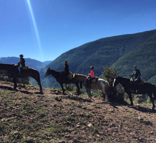 El paseo en cabello por las colinas de las montañas de Colorado ofrece una vista espectacular.