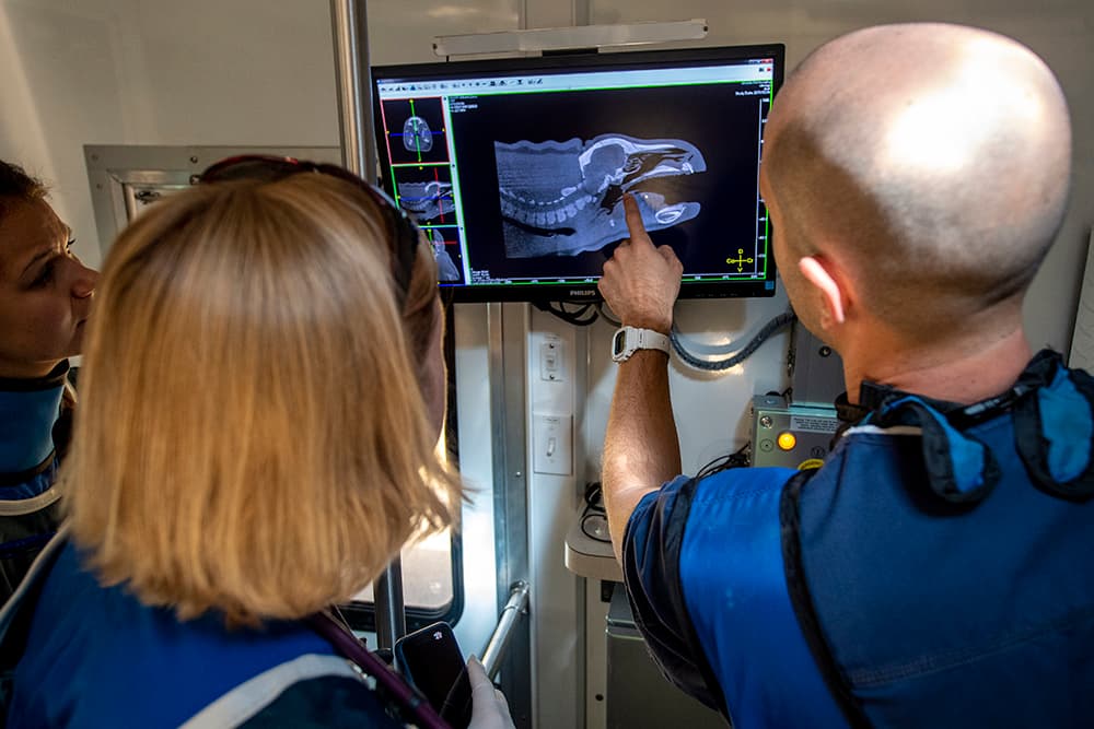 La Dra. Gaby Flacke y el Dr. Xavier Meaux leen las imágenes producidas por la tomografía computarizada.