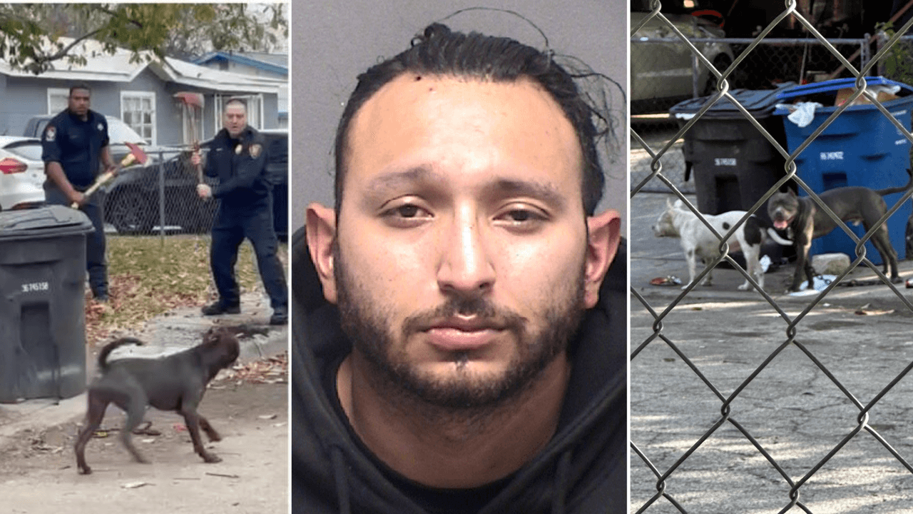 La esposa del dueño de los perros que mataron a un anciano hispano les tenía miedo y pidió regresarlos