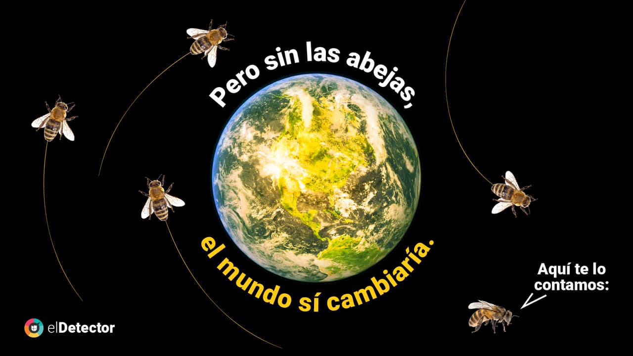 Y aunque la humanidad no desaparecería si se extinguieran las abejas, nos encontraríamos en un mundo diferente al que conocemos hoy. 
<a href="https://www.univision.com/noticias/diamundialabejas-no-evidencias-humanidad-acaba-4-anos-si-desaparecen-abejas-pero-mundo-si-cambiaria" target="_blank">Lee aquí</a> la verificación completa de
<b> elDetector.</b>