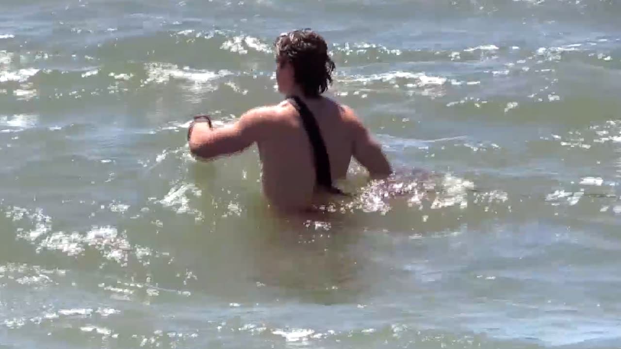 Las recomendaciones para evitar encuentros con los tiburones en playas de Texas son evitar nadar en la oscuridad, evitar usar joyas brillantes porque la luz que refleja el objeto puede parecer escamas de pescados, mantenerse en la orilla del mar. 
<b>Si te encuentras con un tiburón es importante mantener la calma y evitar hacer movimientos repentinos.</b>
<br>