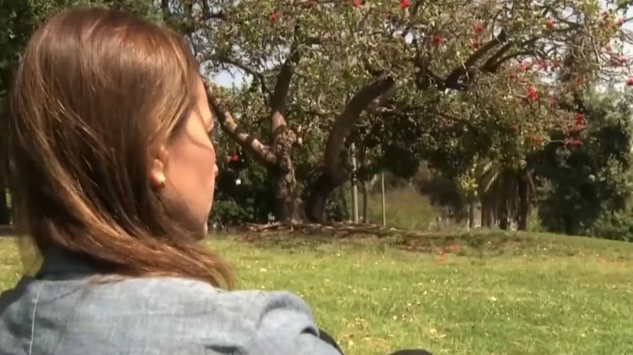 Instagram avisará a padres cuando sus hijos busquen contenido sobre autolesiones o quitarse la vida