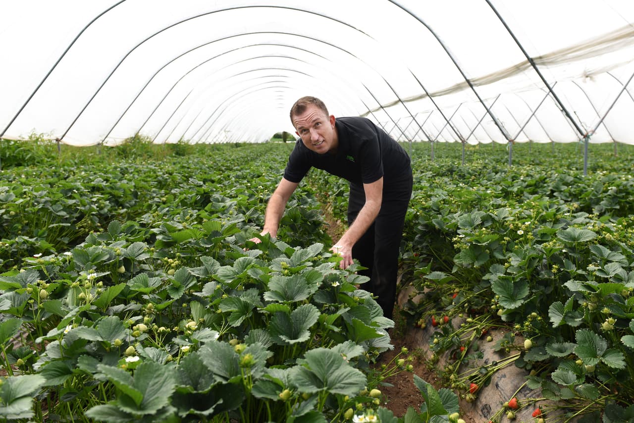 Seguro muchos desearían su trabajo, ¿te animarías?