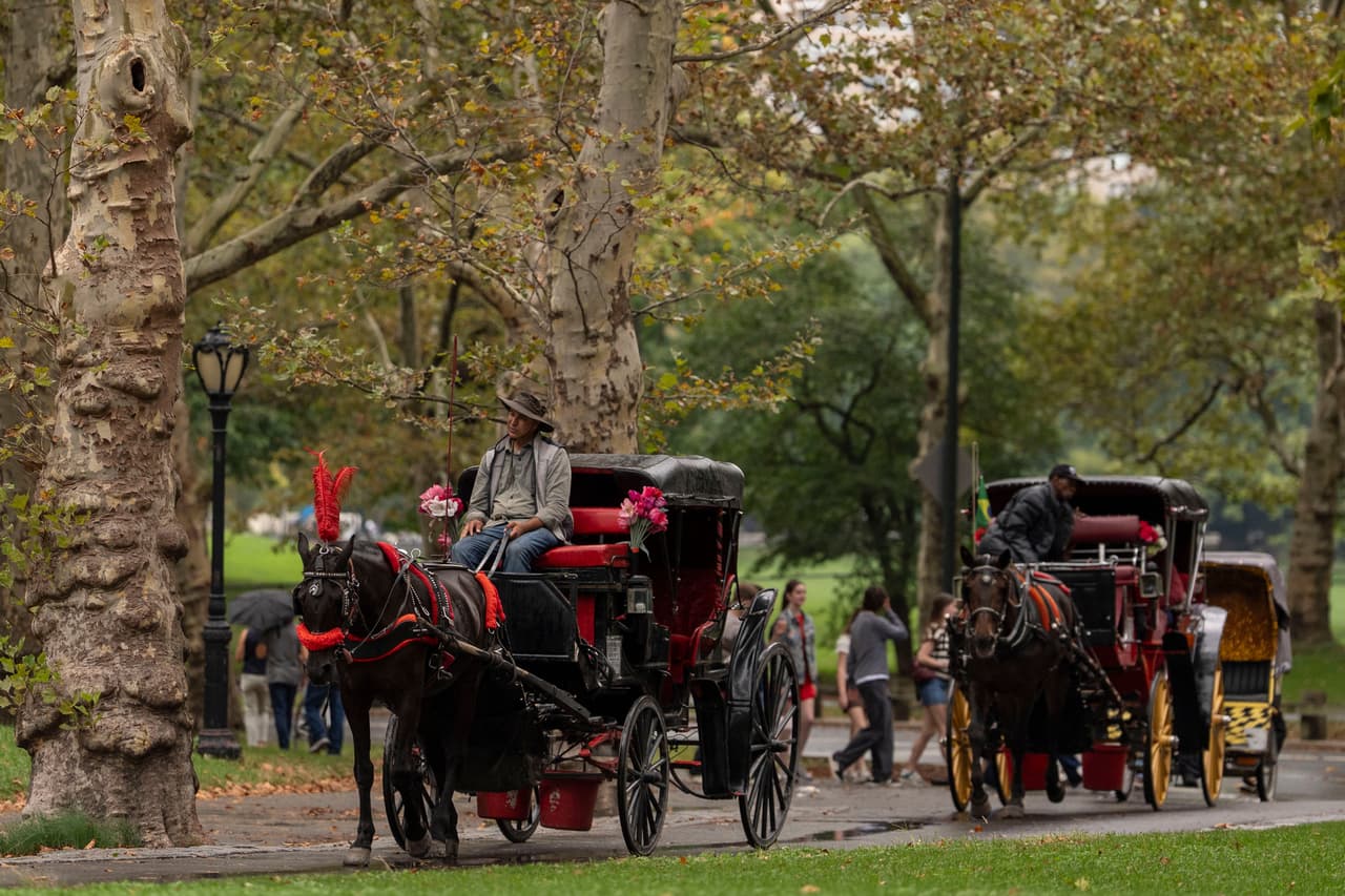 Nueva York pondrá fin a los carruajes con caballos en Central Park tras 20 años de debate: ¿Cuándo entra en función la medida?