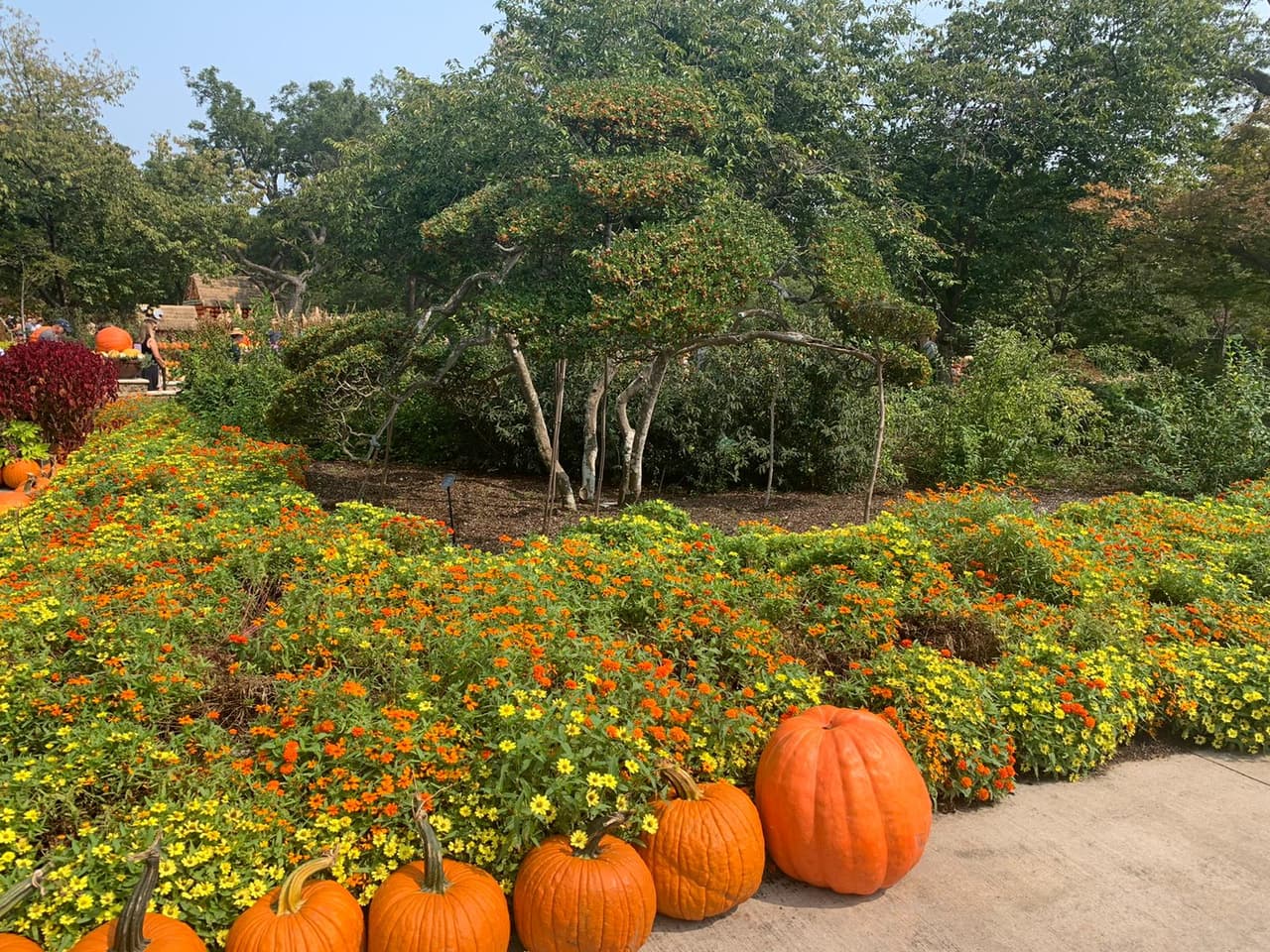 También tienen estaciones con gel antibacterial para los asistentes.