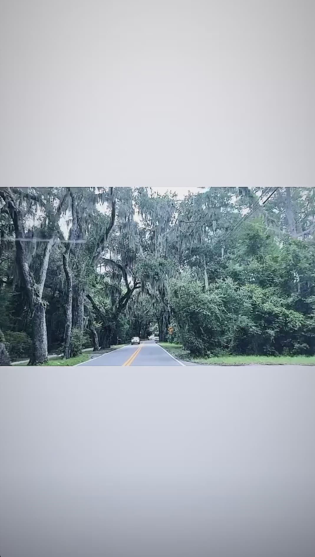 El recorrido fue extraordinario de principio a fin, pues en el trayecto se encontraron con espectaculares paisajes.