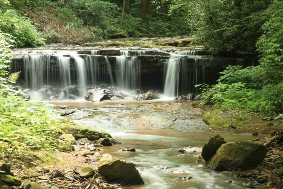 Encuentra más información sobre Pearson’s Falls,
<b><a href="https://www.pearsonsfalls.org/who-we-are" target="_blank">aquí</a></b>.