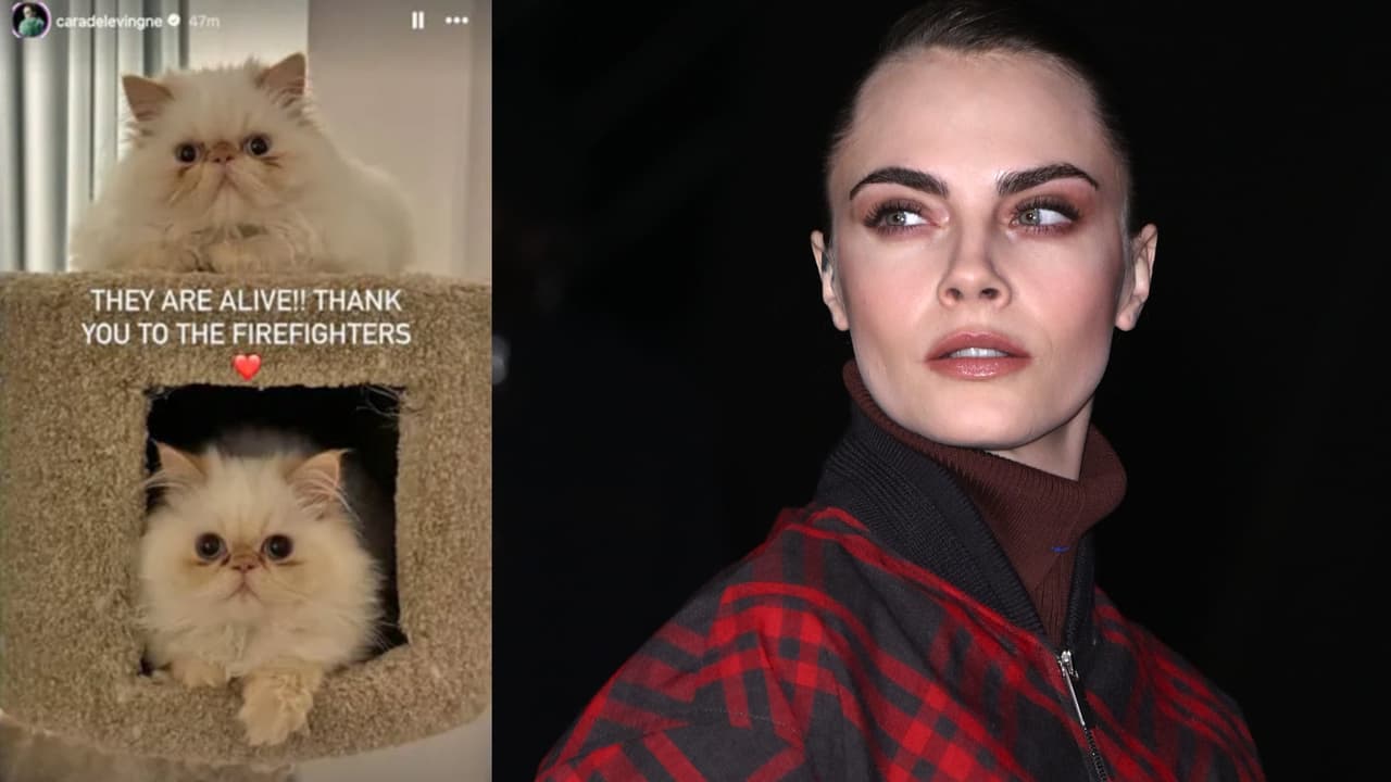 Cara Delevingne preocupó por el estado de sus gatos tras el incendio. Después confirmó que estaban sanos y salvos.