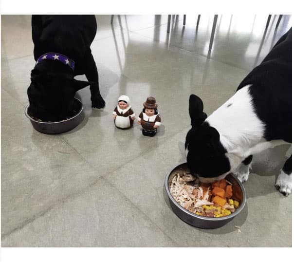 Génesis Rodríguez compartió esta linda foto con sus mascotas.
