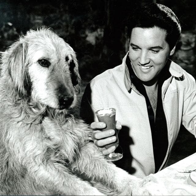 La cuenta oficial de Elvis Presley compartió esta imagen del eterno Rey del Rock & Roll.