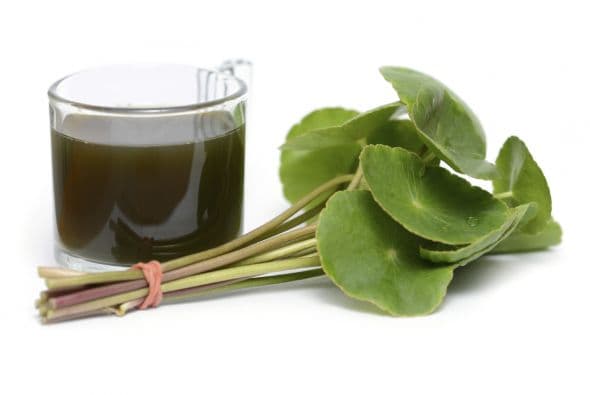 Rocía tu piel con una loción de centella asiática, y notarás la diferencia.