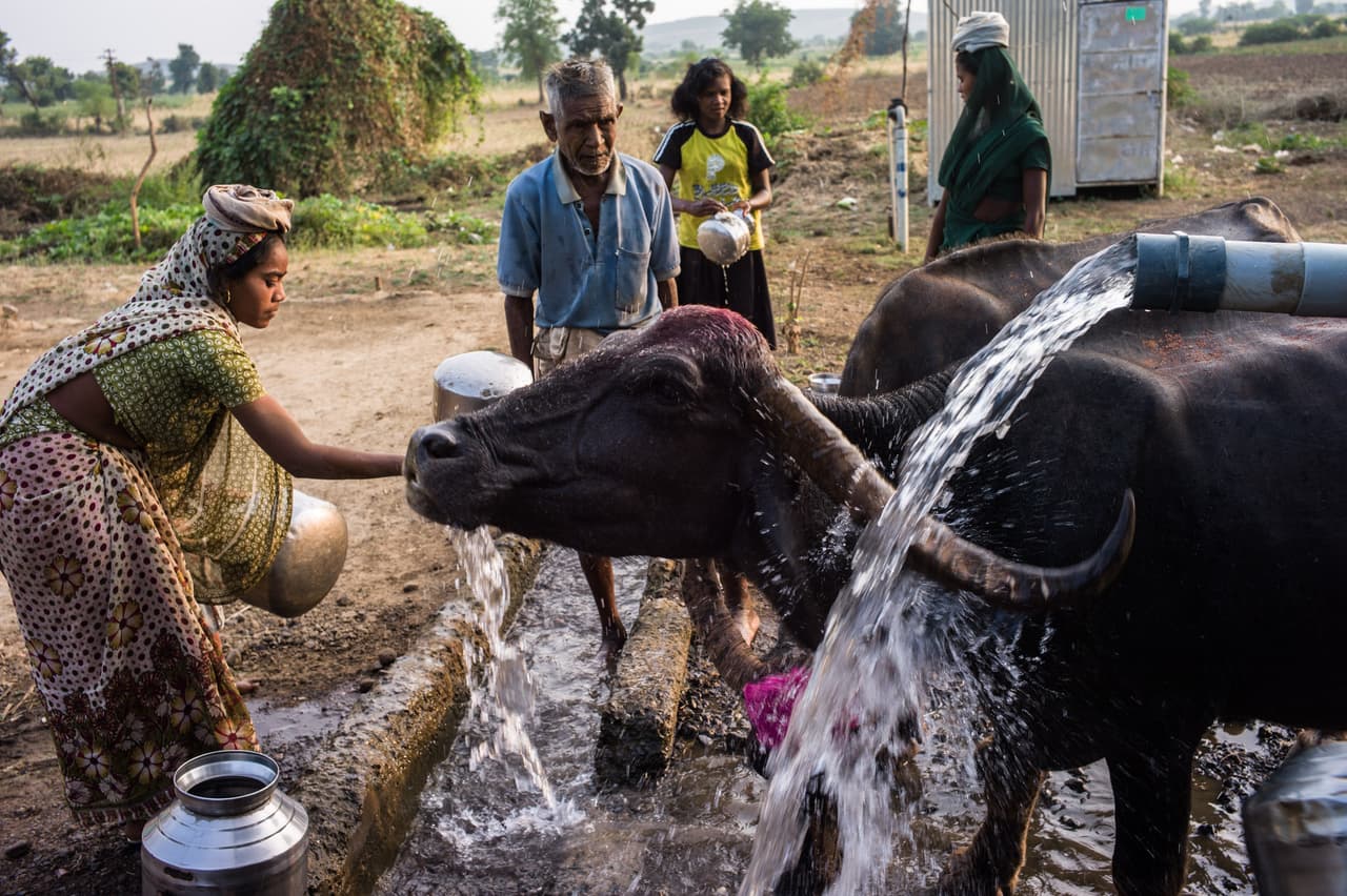 Los aldeanos recogen agua de una tubería de agua pública en el pueblo de Nayakhera, Maharashtra, India, para darle a sus búfalos.
<br>Jueves 15 de noviembre de 2012. La economía de la India se expandirá un 4.9 por ciento en 2012, lo menos en una década, de acuerdo con el Fondo Monetario Internacional. Sanjit Das/Bloomberg via Getty Images