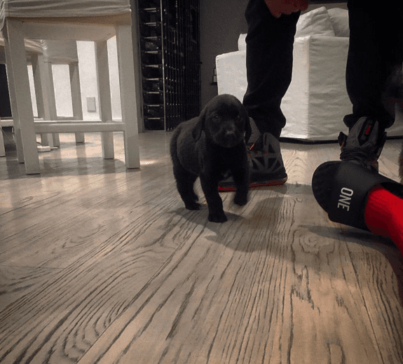 Aunque ya se pasea por toda la casa.