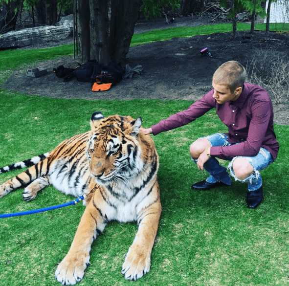 Justin Bieber publicó esta foto en sus redes sociales y las organizaciones que están en defensa de los animales no tardaron en exponer su disgusto con el tema.