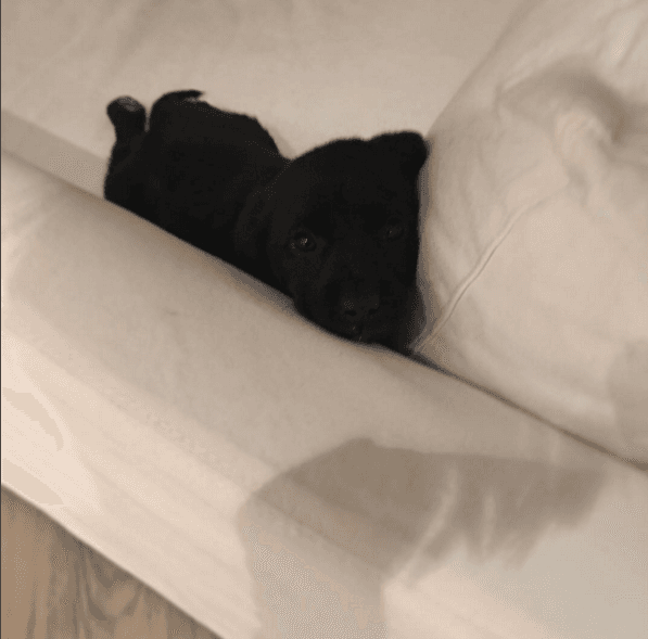 Justin presumió en sus redes lo feliz que estaba de tener a su pequeño.