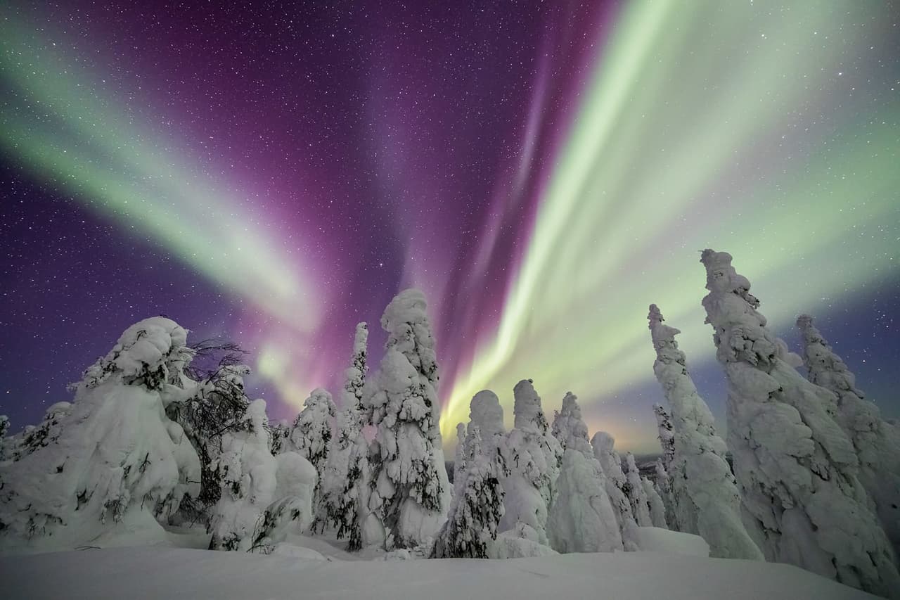 <b>‘Narnia’</b>
<br>
<br>
<b>Fairbanks, Alaska</b>
<br>
<br>“Durante años había pasado muchas noches en esta región esperando una hermosa exhibición de auroras, pero solo me decepcioné. Sin embargo, esa noche llegué al lugar preciso justo a tiempo para el comienzo de un espectáculo increíble”, contó el autor.
<br>
