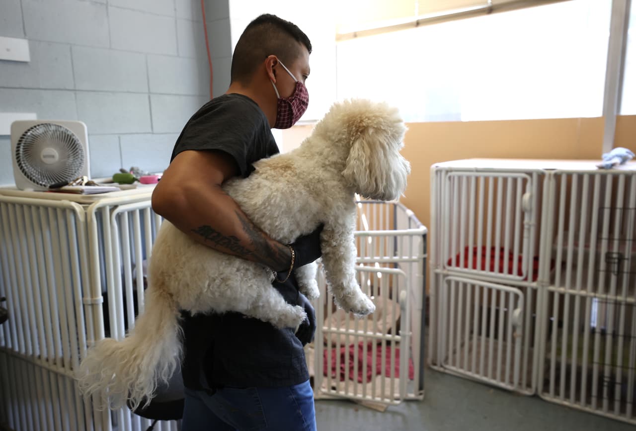 <b>Es ilegal tomar prestado al perro, o los animalitos de otra persona, sin su consentimiento</b>. Si alguna persona toma y se lleva ilegalmente cualquier caballo, castrado, yegua, mula o perro, propiedad de otra persona, en secreto y en contra de la voluntad del dueño de dicha propiedad, con la intención de privar al dueño de la propiedad especial o temporal, el uso de esta, o con la intención de usar dicha propiedad para un propósito especial o temporal, la persona que lo cometió será culpable de un delito menor de clase 2.
<br>