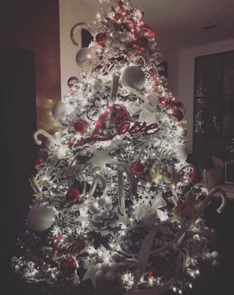 La Navidad llegó a la casa de los Montijo-Reina. ¡Qué bonito le quedó el árbol a Gali!.