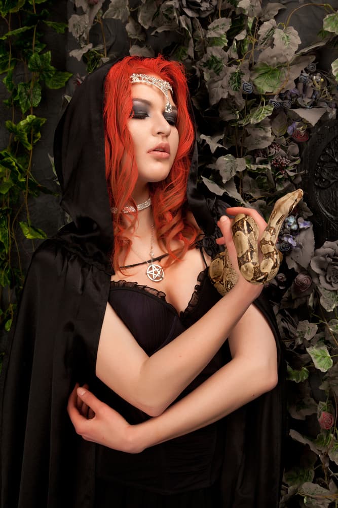 Hay relatos desde la Edad Media sobre estas criaturas demoniacas, aunque algunos creen que el origen viene, curiosamente, desde la creación, ya que se considera que el primer súcubo fue una mujer llamada Lilit, quien habría sido la primera mujer creada por Dios y la primera pareja de Adán, antes de Eva.