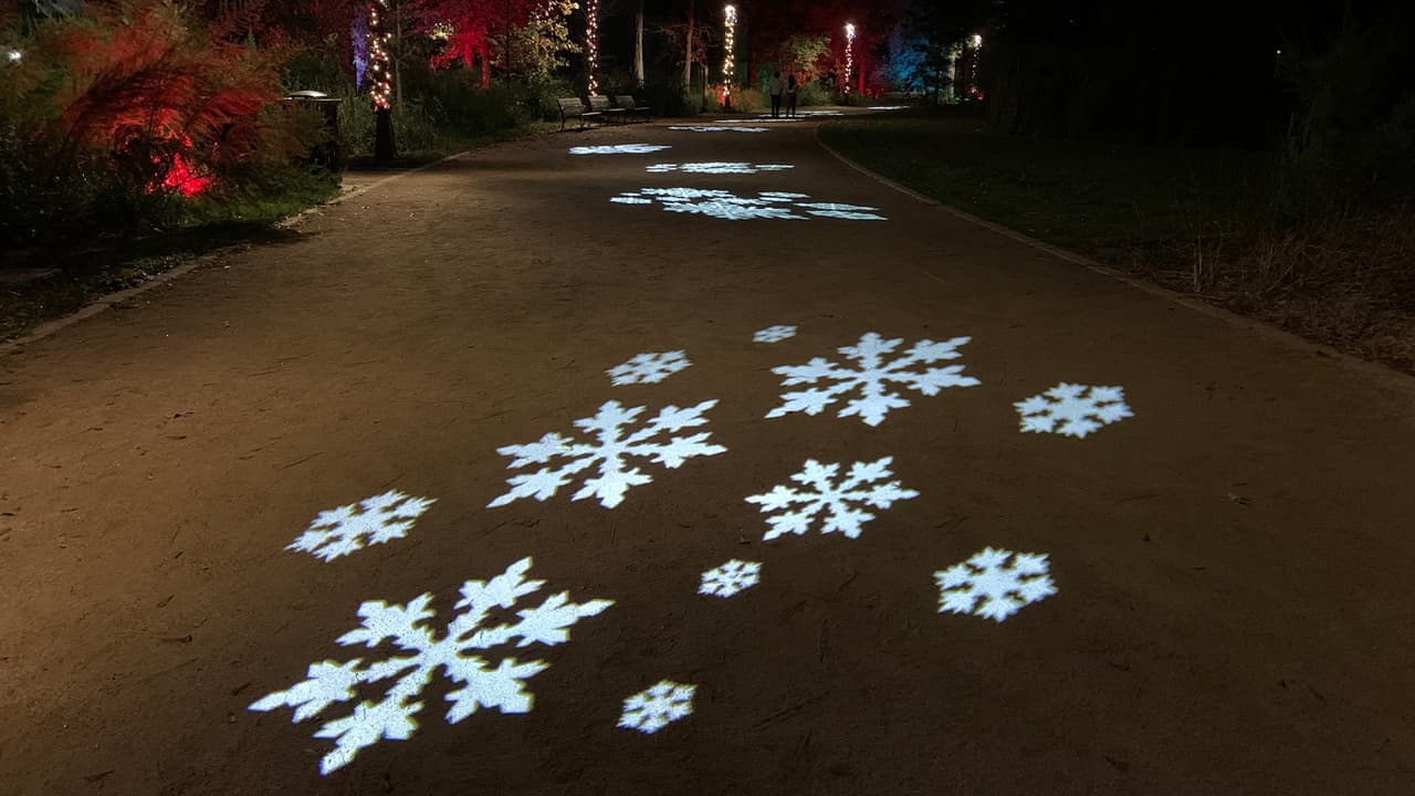 Además de ejercitarte tienes la oportunidad de disfrutar de un espectáculo de luces navideñas.