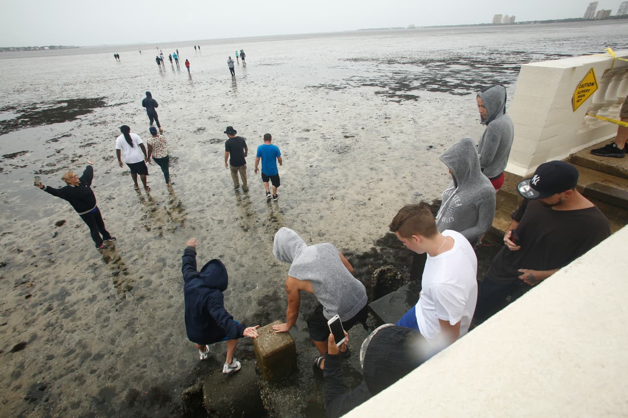 El extraño fenómeno es causado por la fuerza del huracán y la baja presión que succiona el agua hacia el centro de la tormenta. Residentes de Tampa bajan del malecón y caminan por donde debería estar el mar.