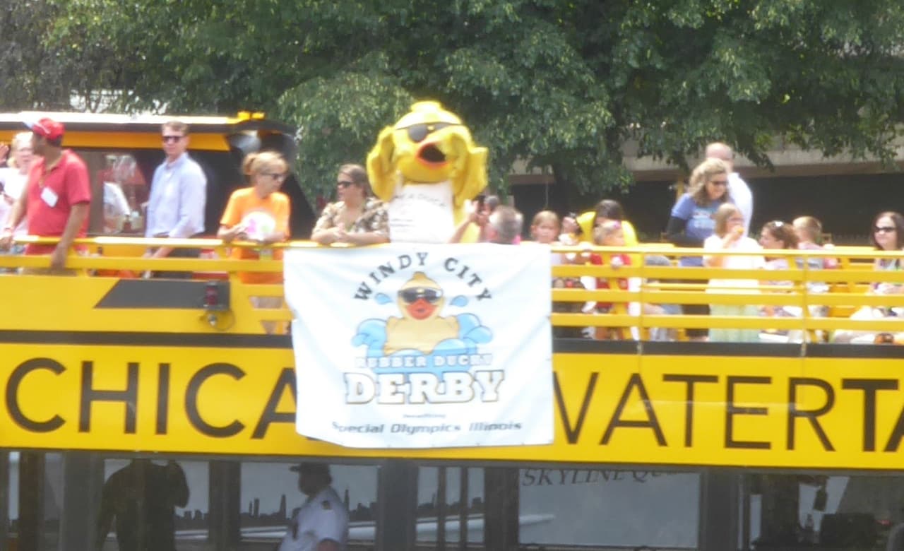 Desde los puentes que rodean el Río Chicago o desde los barcos, muchos siguieron el desarrollo de esta singular competencia para conocer cuál era el primer patito en cruzar la meta.