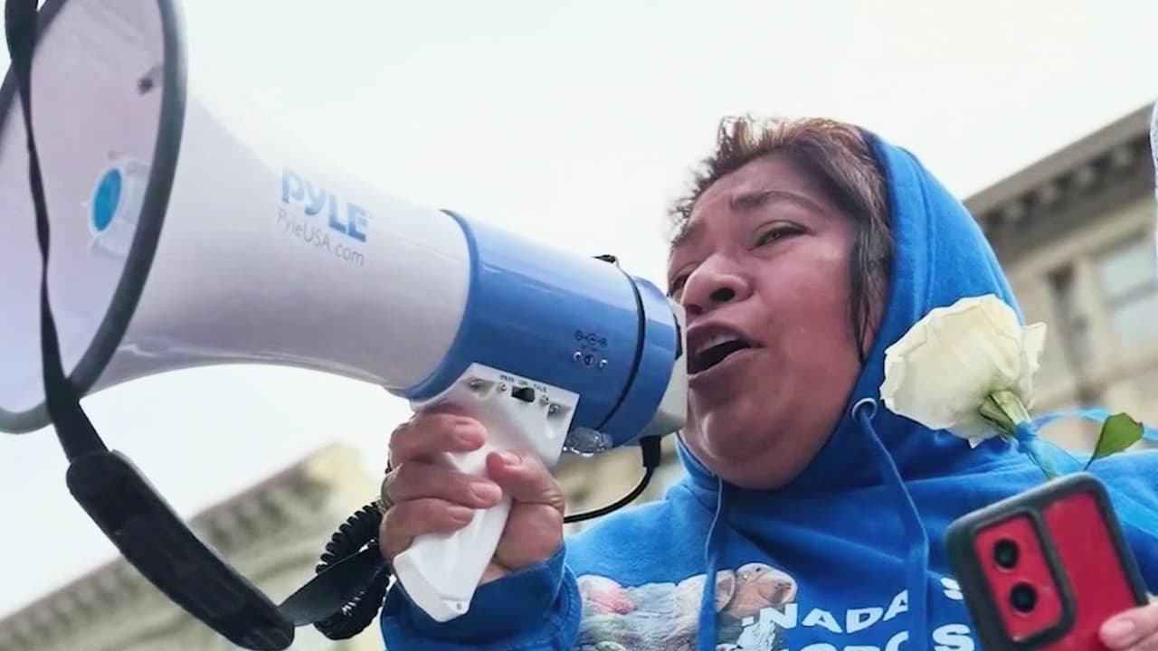 Celebración del Día del Salvadoreño en el DMV queda marcada por operativos de ICE en la zona