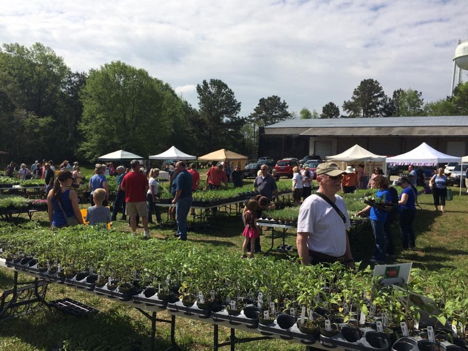 <b><a href="http://www.herbfest.net/">HerbFest (1 de mayo / 6 al 8 de mayo):</a></b> A los amantes de la cocina les encantará HerbFest, donde podrán pasear por la encantadora White St. del centro de Wake Forest y comprar hierbas y verduras orgánicas, además de tomates y pimientos tradicionales y hermosas plantas perennes específicas de la zona.