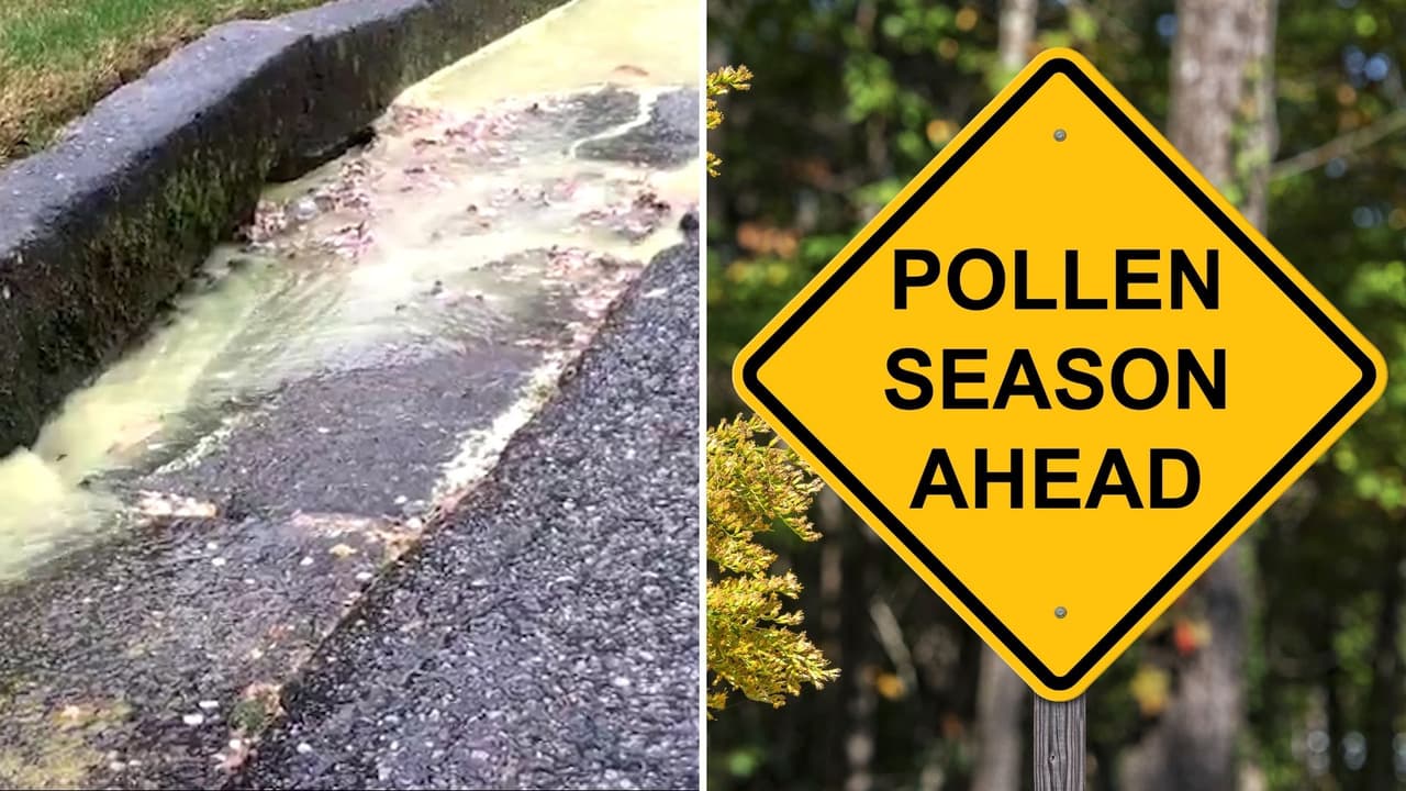 Video muestra como un río verde en Atlanta: El polen alcanza el segundo nivel más alto en lo que va de año