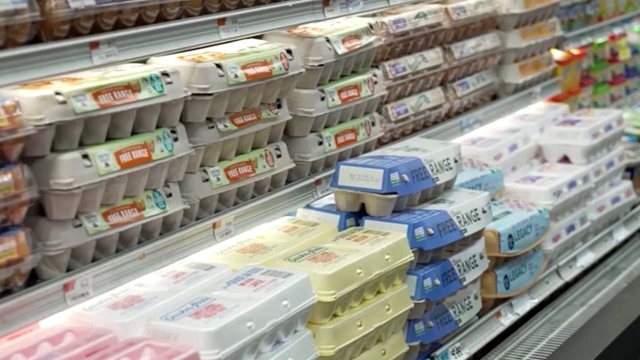 Noticias de negocios en 1 minuto en N+ Univision: ¿Por qué va a la baja el precio del huevo en el país?