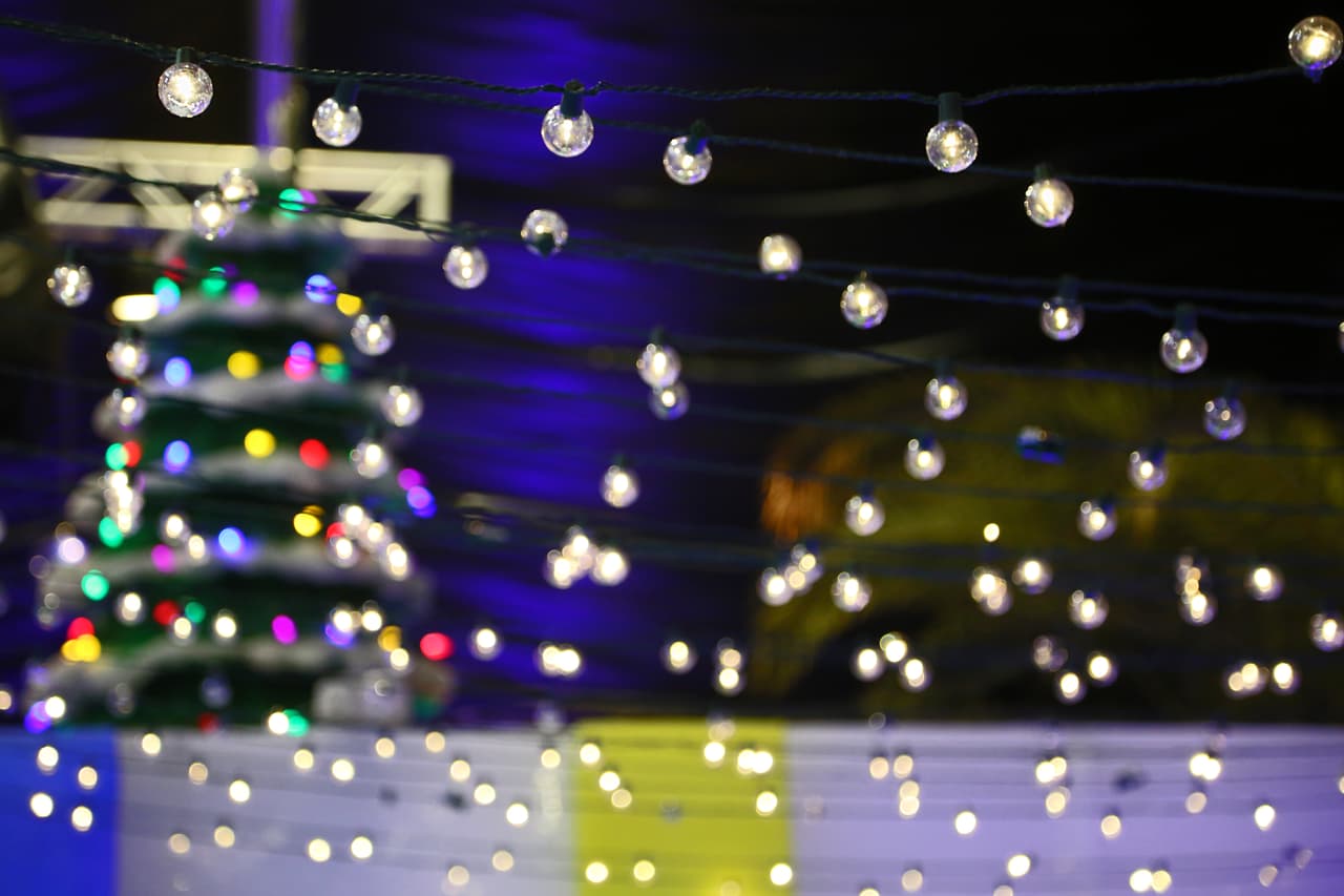 Navidad Caribeña, el tema de la exhibición de esculturas de hielo 'Iceland' del parque Moody Gardens.