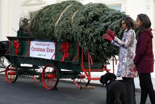 Michelle Obama y sus hijas recibieron el pino que adornará el interior de la residencia, se hicieron acompañar de Bo y Sunny, sus adoradas mascotas.