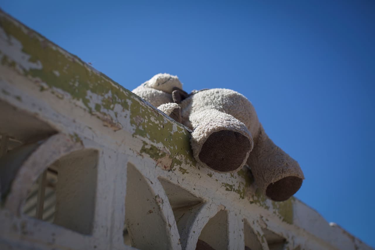 Un oso de peluche cuelga del muro del cementerio.