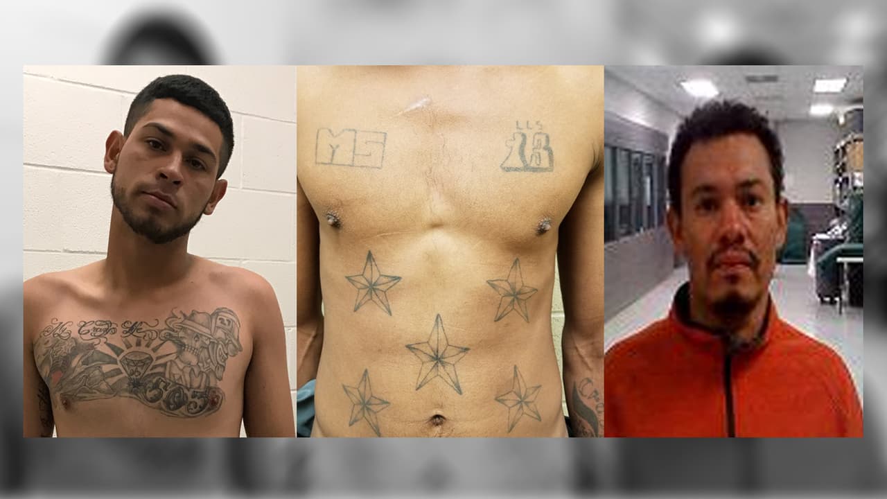 Más de 300 indocumentados arrestados en la frontera pertenecen a pandillas, según las autoridades