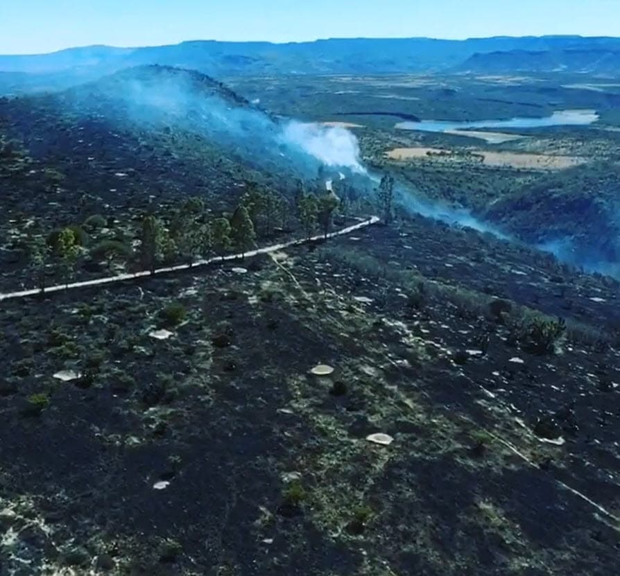 "
<b><a href="https://www.univision.com/shows/el-gordo-y-la-flaca/pepe-aguilar-advierte-que-si-el-incendio-de-su-terreno-fue-intencional-caera-todo-el-peso-de-la-ley-en-el-culpable-video" target="_blank">Todo el peso de la ley</a> </b>se tendrá que ir, si es que acaso fue intencional, por supuesto que se va a investigar, por el momento no estoy culpando a nadie", dijo.
<br>