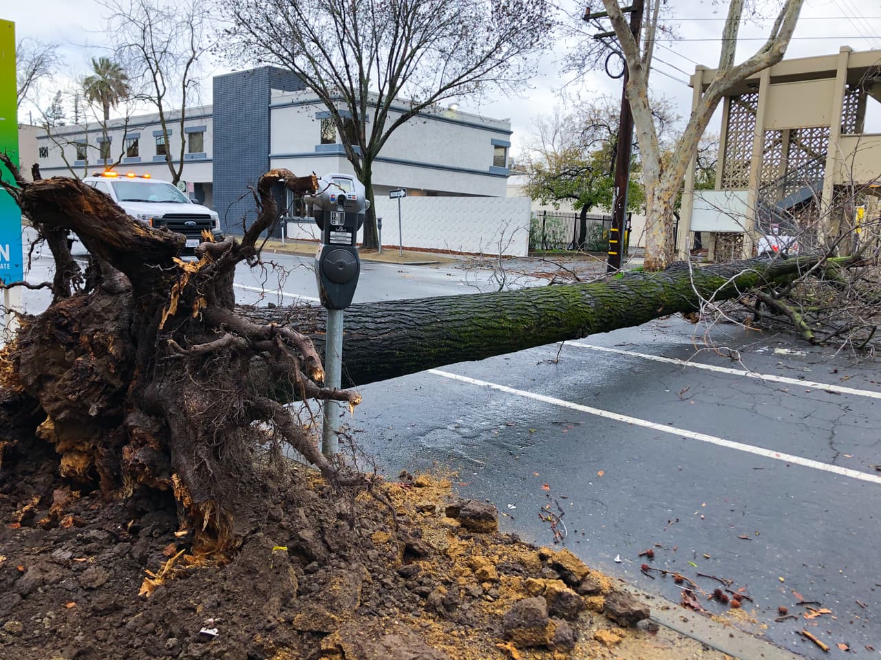 Los vientos de la 
<a href="https://www.univision.com/local/sacramento-kuvs/rio-atmosferico-trae-fuertes-lluvias-y-nevadas-al-area-de-sacramento-y-la-sierra-nevada">primera tormenta de 2021</a> en el área de Sacramento dejó muchas calles bloqueadas por árboles y ramas caídos.