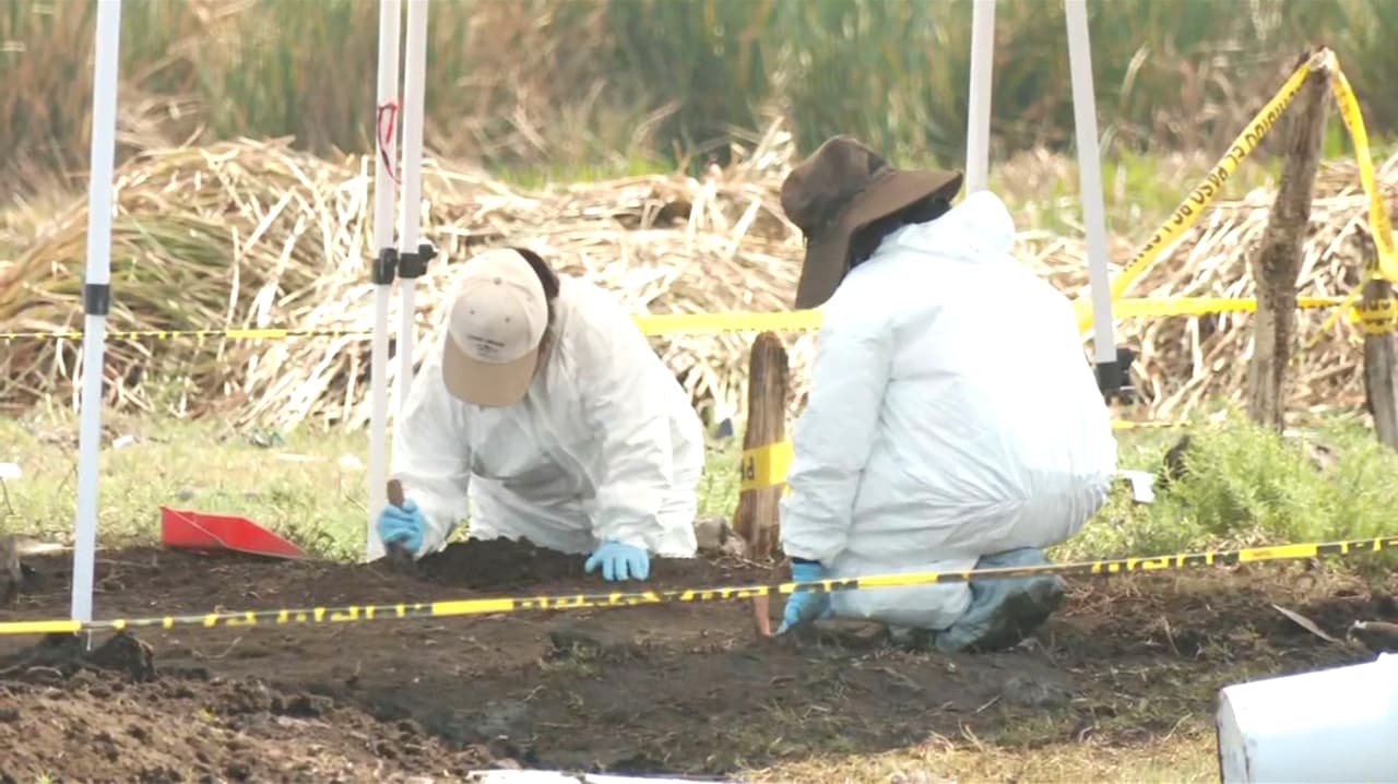 Hallan más de 300 restos óseos en una localidad de la capital de México; esto se sabe al momento