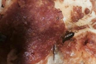 Domino's Pizza anuncia cierre temporal en Perú tras denuncias de insalubridad