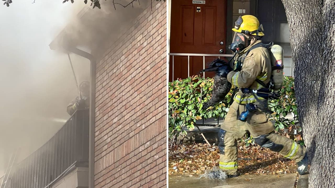 <b>Aunque aún se desconoce la causa del incendio, los investigadores están en el lugar. </b>En total, se rescataron
<b>seis gatos, tres perros y una serpiente.</b> Afortunadamente, no se reportaron heridos ni entre los vecinos ni entre los bomberos.
<a href="https://www.redcross.org/local/texas/central-and-south-texas.html?srsltid=AfmBOoqXXCXU9254XCfGfVdNfVvgD6QFaX5rFEi8DghskwexhIV88ej4" target="_blank">La Cruz Roja también se presentó en la escena</a> para asistir a los ocupantes del edificio, y
<a href="https://www.capmetro.org/" target="_blank">dos autobuses de CapMetro</a> ayudaron a transportar a los residentes al calor.