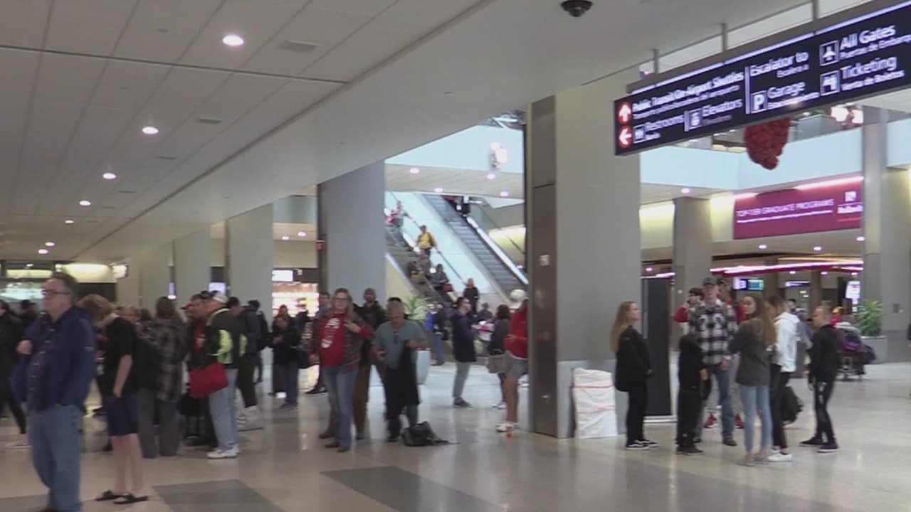 Una conductora presuntamente ebria chocó con un poste de luz y fue la responsable de los vuelos cancelados en el aeropuerto de Sacramento